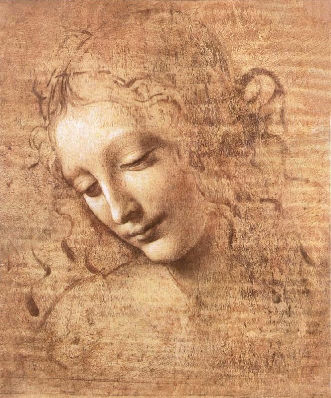 LEONARDO da Vinci Madchenkopf with confused hair oil painting image